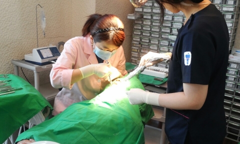 노년 임플란트 시술을 위해 꼭 알아두어야 할것은?