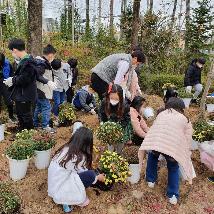 다솔초등학교, 코로나블루 대응 학생자치로 소원 담은 국화꽃을 심다